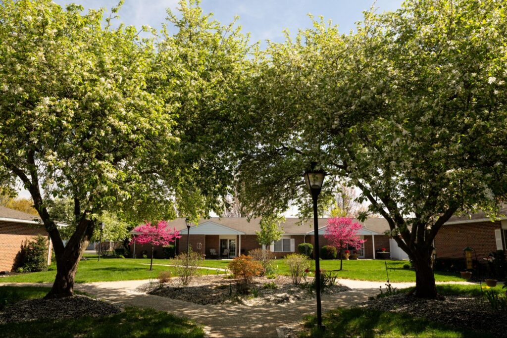 An outdoor photograph of single-story brick retirement homes surrounding a shared green courtyard with blooming white and pink trees and a pedestrian walkway, demonstrating what is a pocket community.